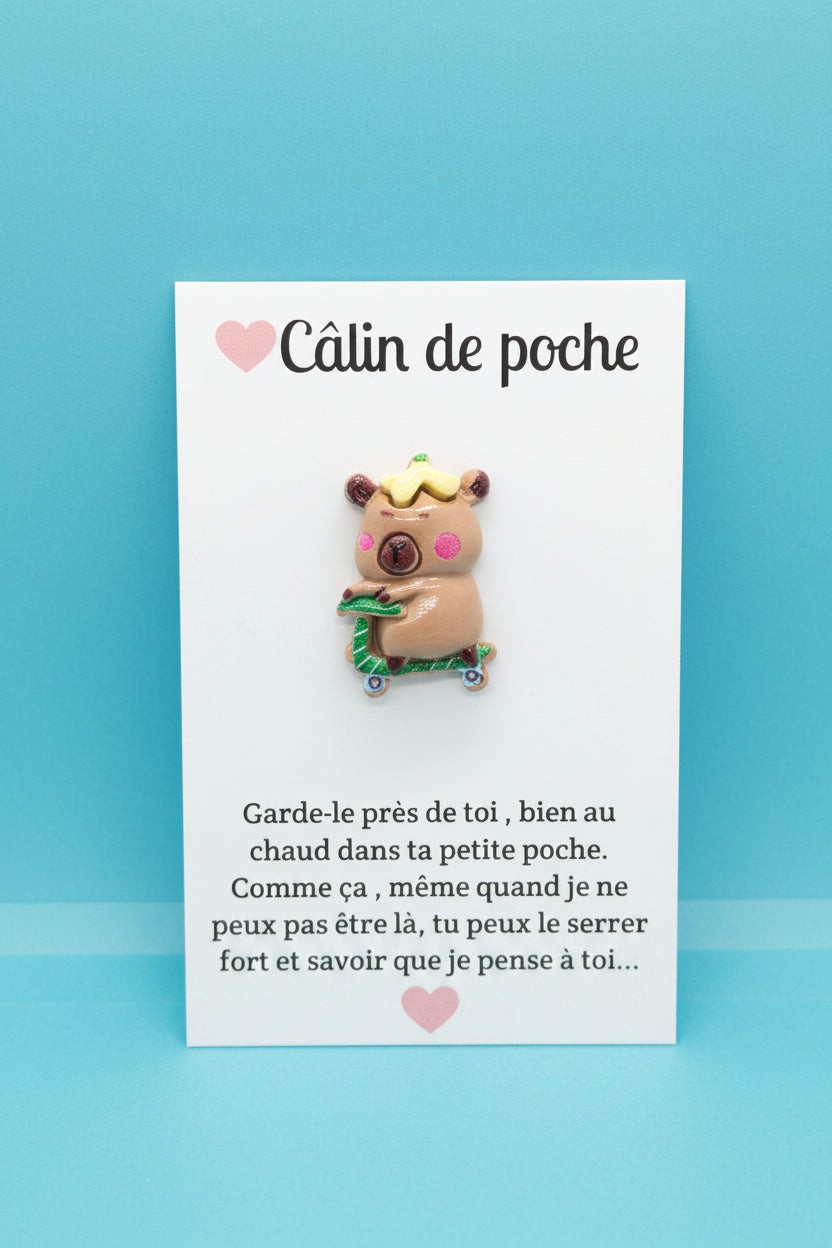 Câlin de poche ⭐