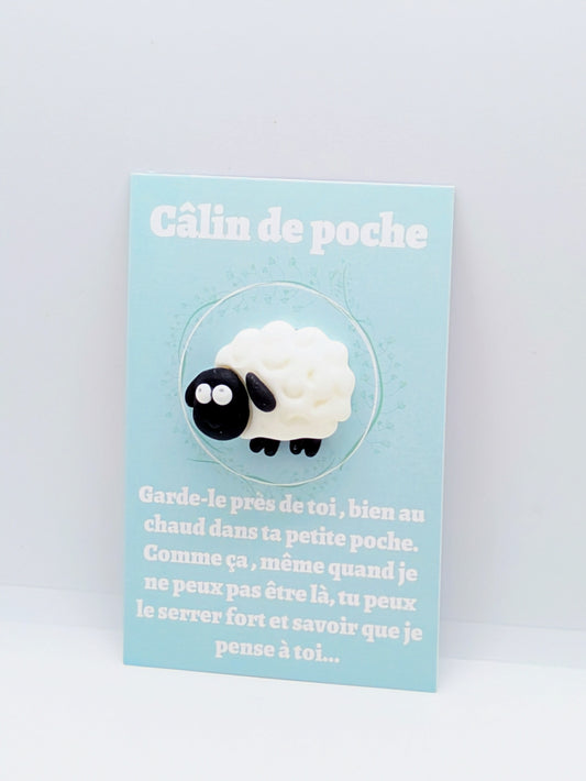 Carte “Câlin de poche” – Petite attention, cadeau à offrir, collection