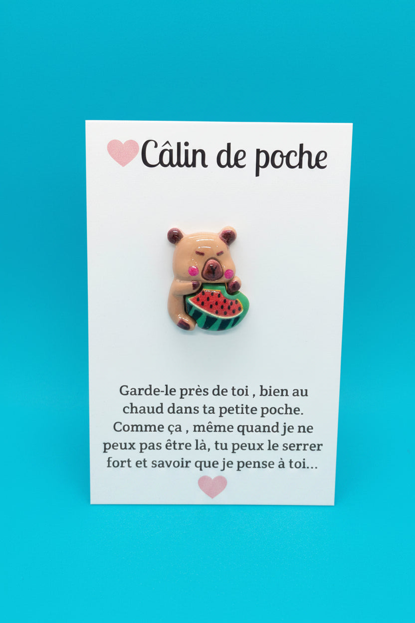 Câlin de poche ⭐